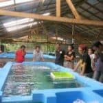 training at the Les Aquaculture and training center