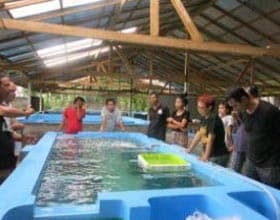 training at the Les Aquaculture and training center
