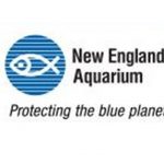 New England Aquarium Protecting the Blue Planet