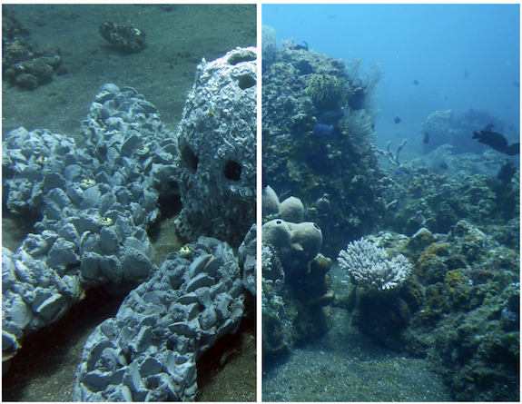 LINI-Artificial-Reef-Structure
