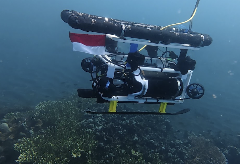LINI-and-underwater-robot